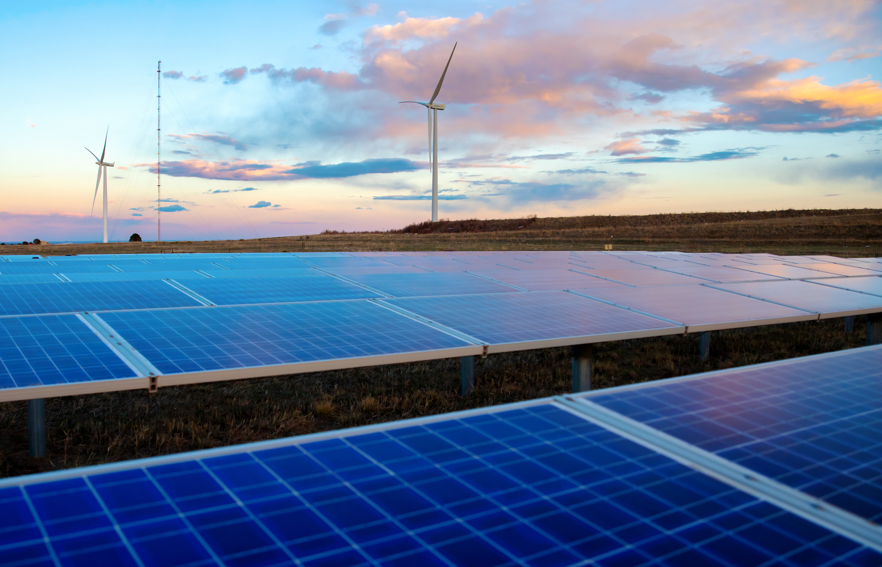 Doe 3 1 654a4aa7e08e5