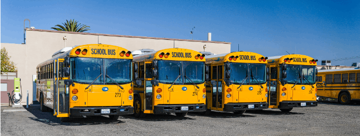 656dfbf3dc330f001e026254 Blue Bird