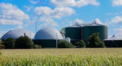 656f41887b86e7001e8d6202 Corn Biomass 656f41887b86e7001e8d6202 Corn Biomass