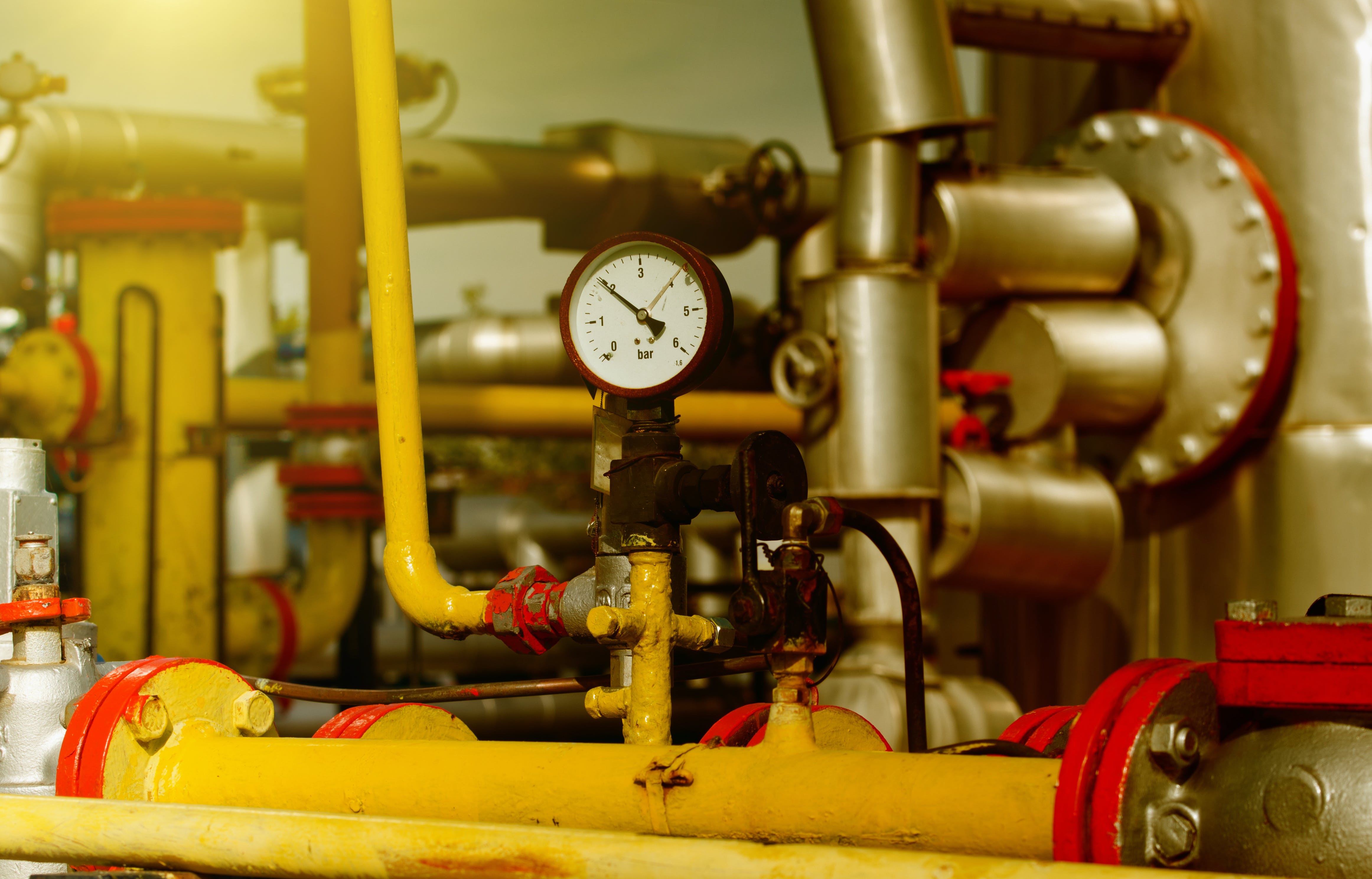 658af2c4f6436b001e6b353f Photo 48065332 Jevtic Dreamstime Com