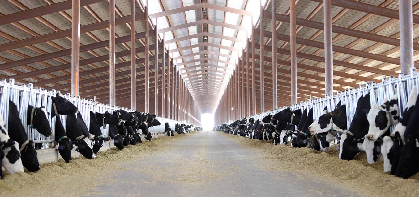 659576a87c1081001eb4464f Clean Energy Fuels