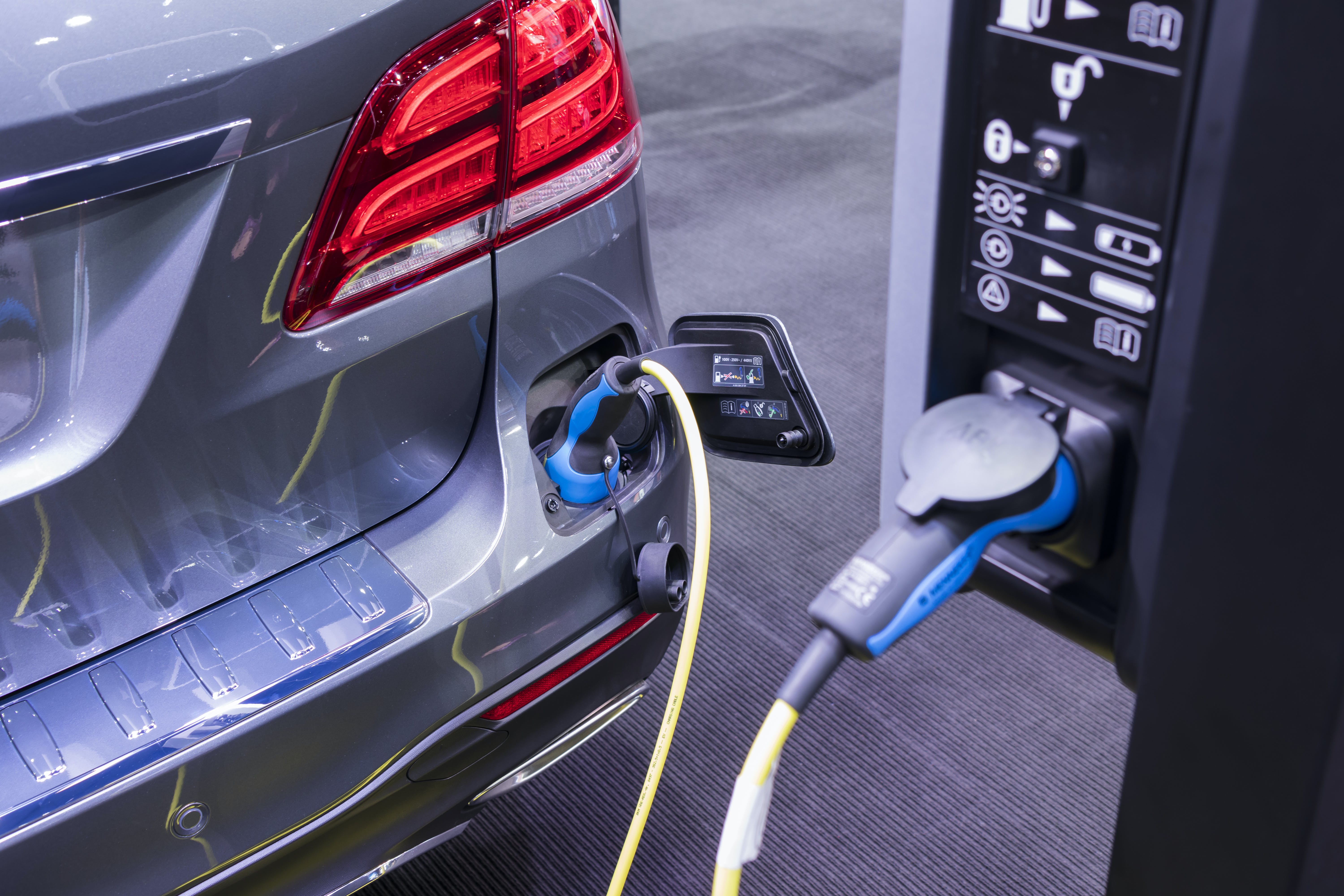 65b1194beac910001e0adf20 Photo 106788691 Warut Sintapanon Dreamstime