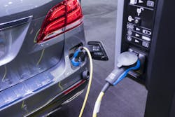 65b1194beac910001e0adf20 Photo 106788691 Warut Sintapanon Dreamstime 65b1194beac910001e0adf20 Photo 106788691 Warut Sintapanon Dreamstime