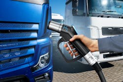 65cbcb3ab4176a001f12c40d Photo 305393130 Scharfsinn Dreamstime 65cbcb3ab4176a001f12c40d Photo 305393130 Scharfsinn Dreamstime