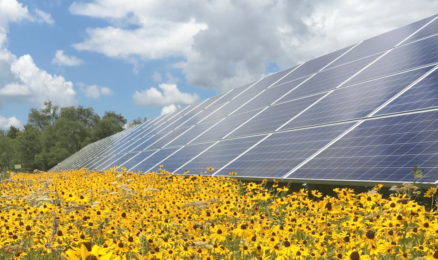 65ccd67aa01ab8001e72cde9 Standard Solar