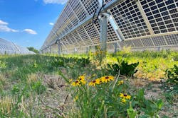 65e1ed5cc093f6001e13b563 Onyx Renewables 65e1ed5cc093f6001e13b563 Onyx Renewables