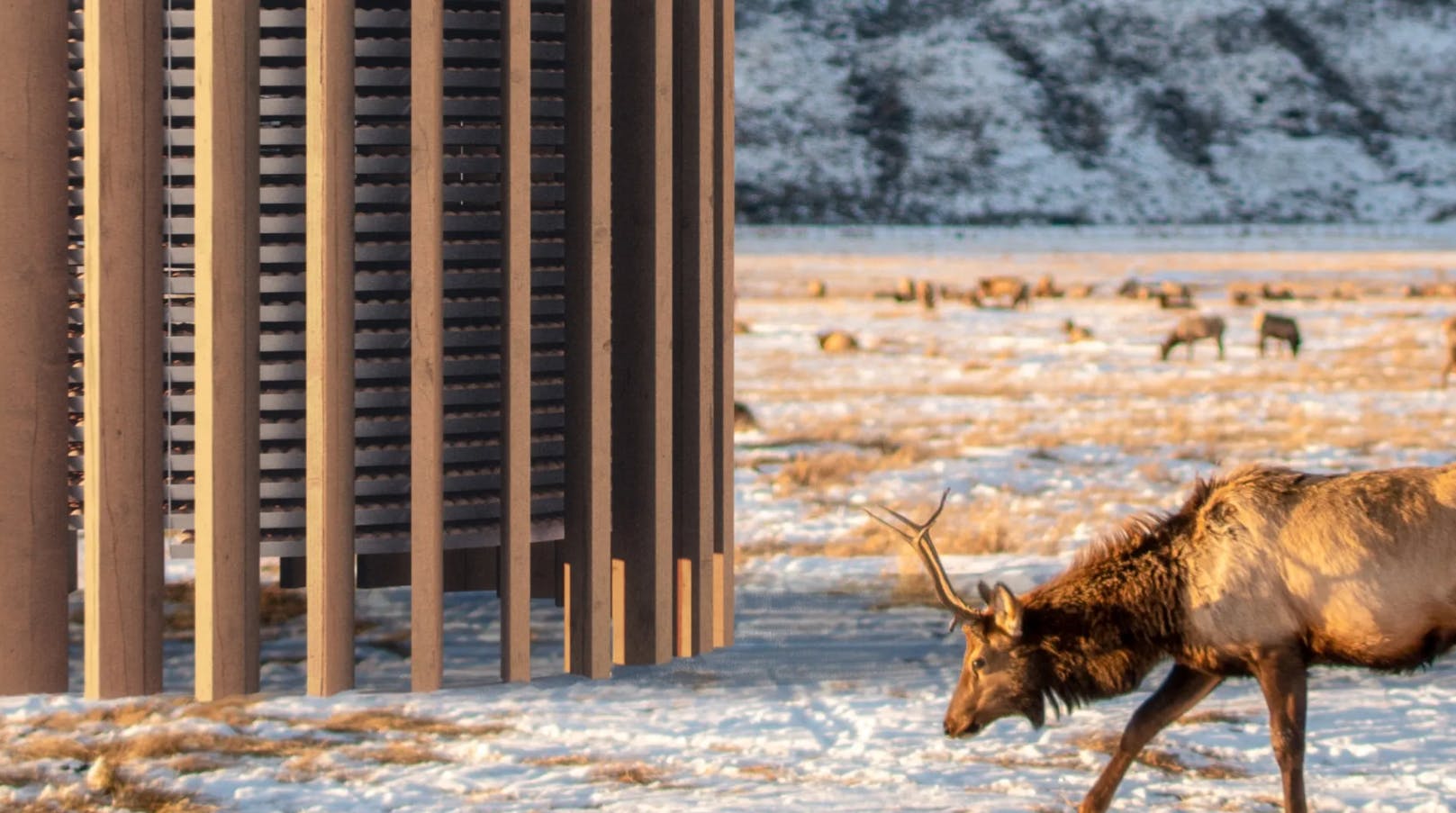 65fc62ab024d16001eec02a2 Spiritus