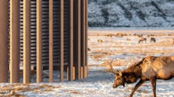 65fc62ab024d16001eec02a2 Spiritus 65fc62ab024d16001eec02a2 Spiritus