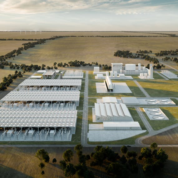 661017b913076b001e4fe72d Avina