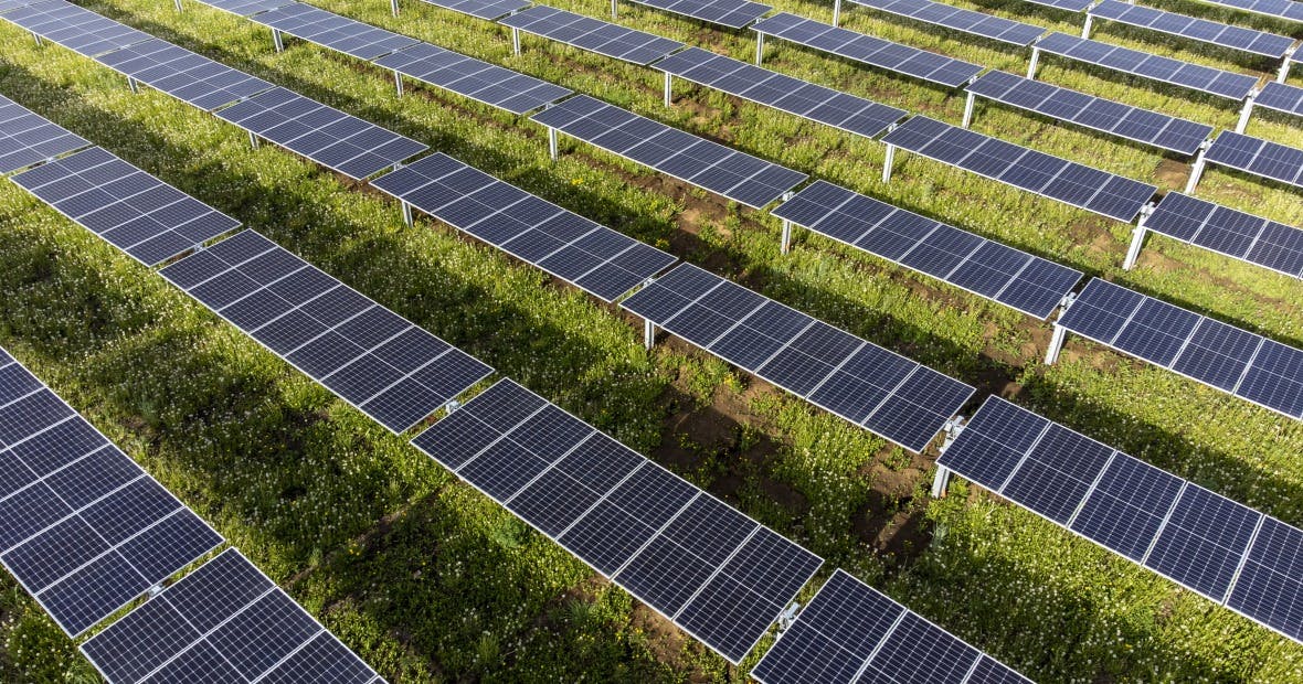 6660b2edf14d836f7a5a3452 Grinnell College