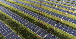 6660b2edf14d836f7a5a3452 Grinnell College 6660b2edf14d836f7a5a3452 Grinnell College