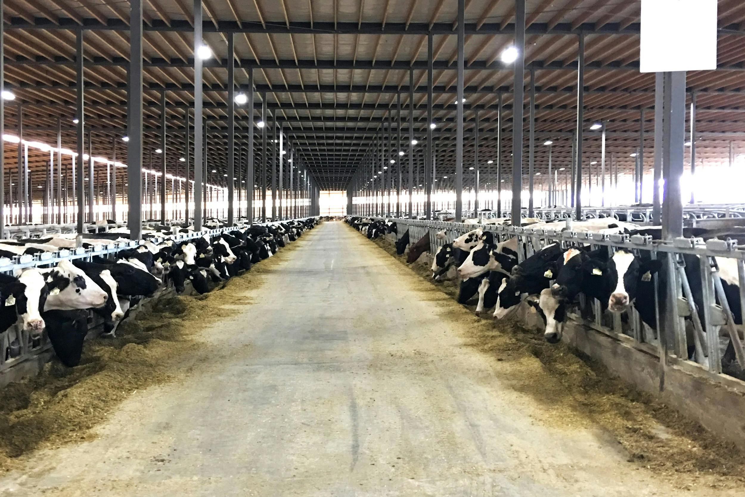 6666f3c620d49b78d18a9b4c Oakridge Dairy