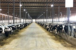 6666f3c620d49b78d18a9b4c Oakridge Dairy 6666f3c620d49b78d18a9b4c Oakridge Dairy