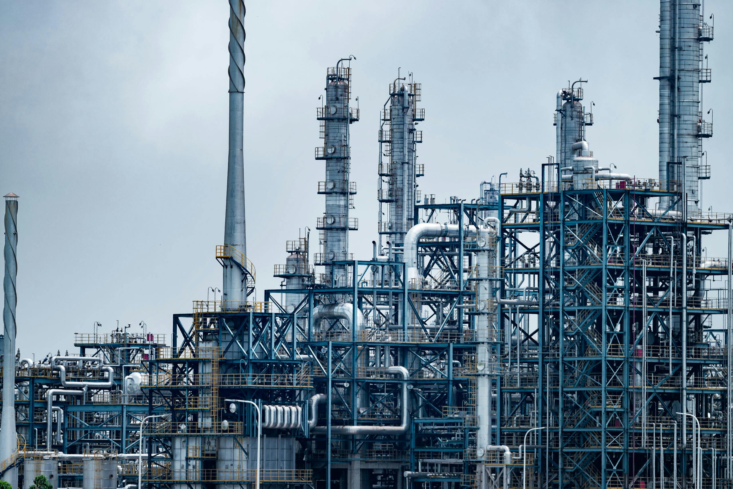 666761dbe1af82d7d6ab43f1 Glocal Green