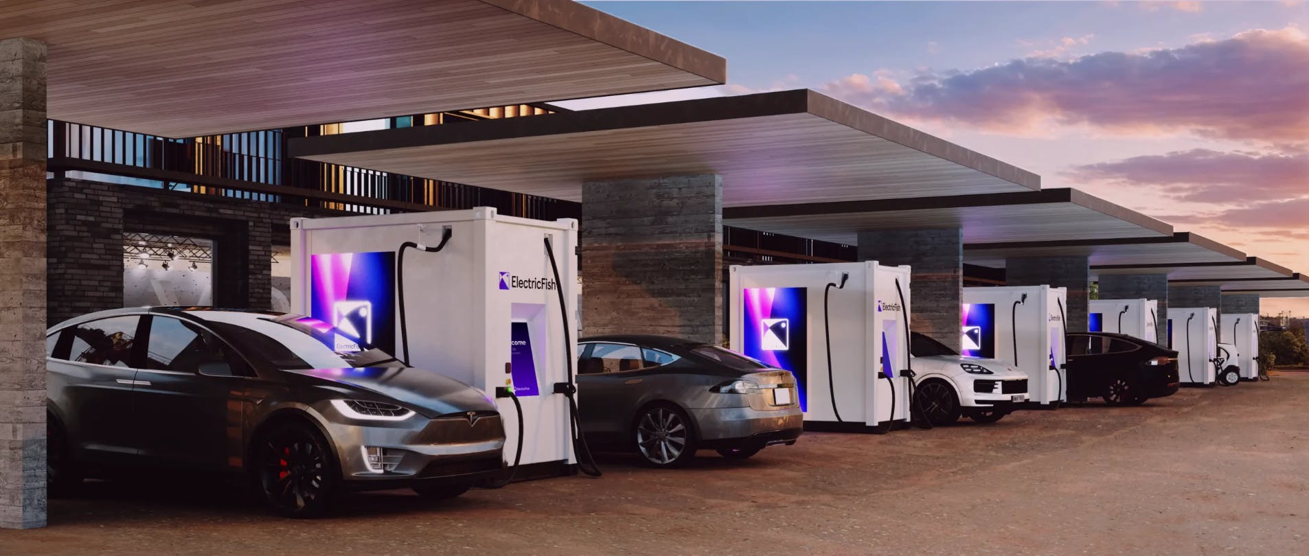 666b2f22e08a6e570e78797d Electricfish