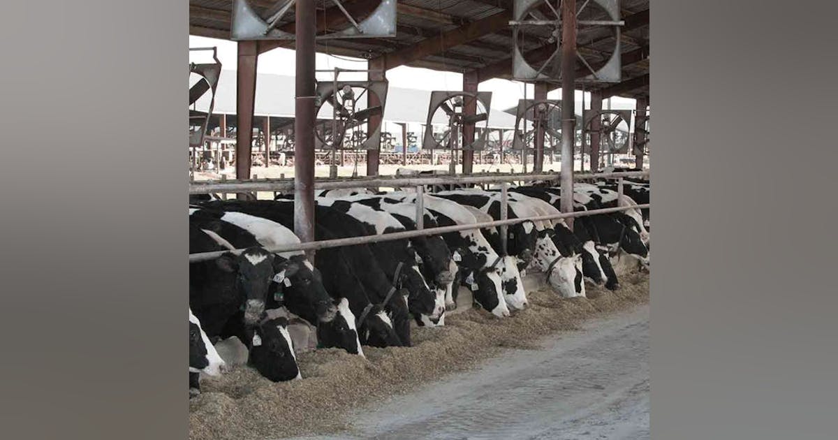 Chesapeake Utilities says RNG production Started at Full Circle Dairy ...