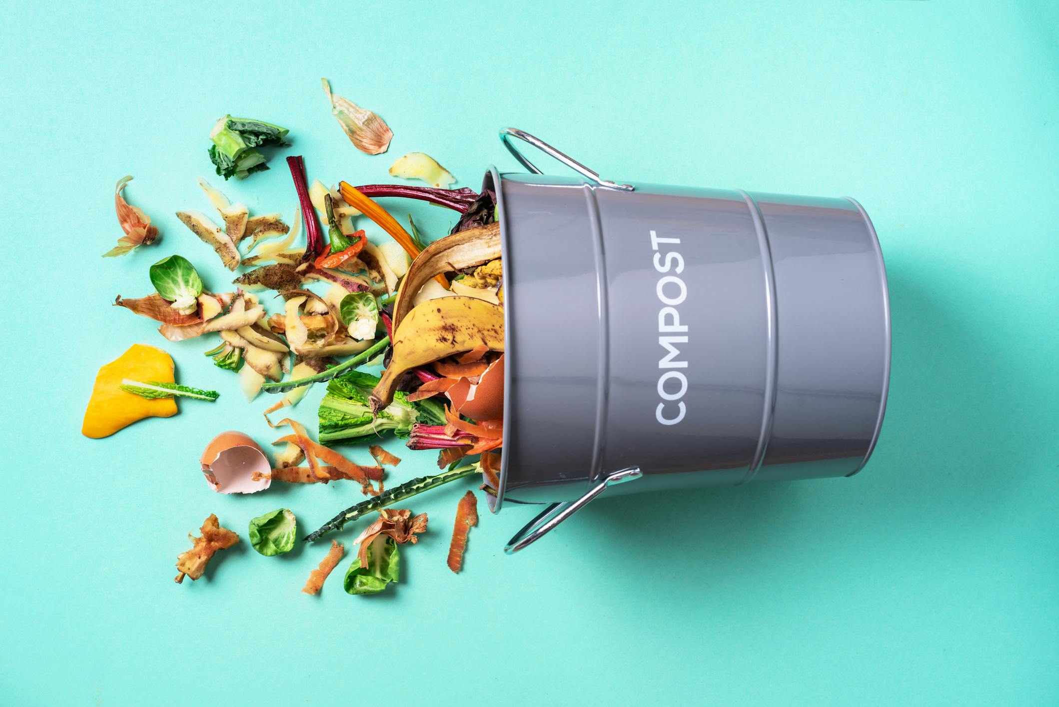 66ead6b6ee7c9f20aa7911d8 Dreamstime Compost