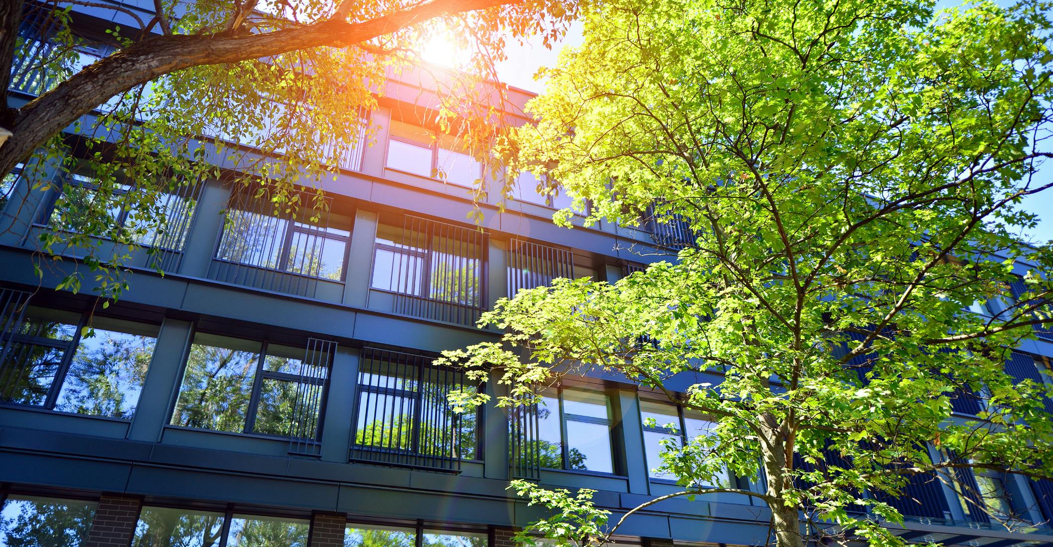 670054385301c9f438d49f84 5