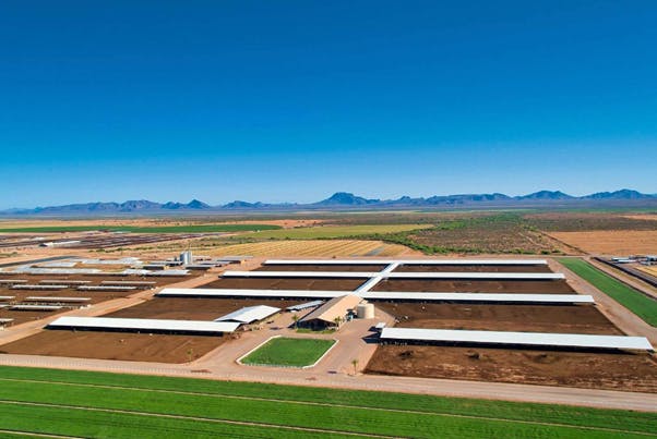 672e81a2c04ad74bd73a4ab0 Opal Fuels