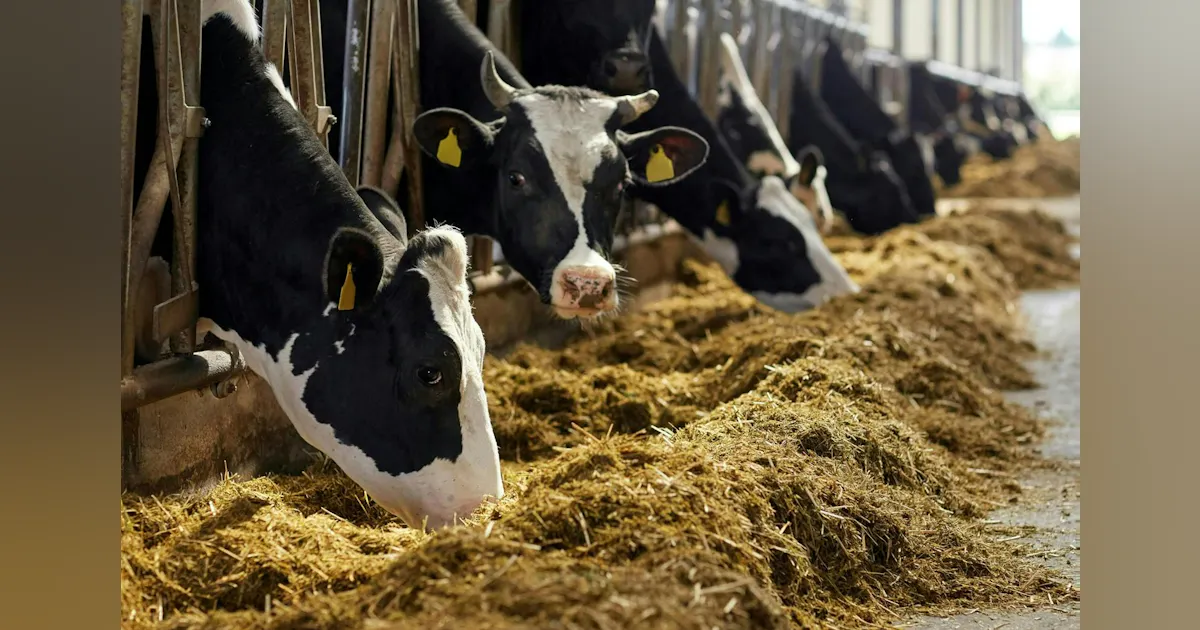 Larson Brightmark Rng Brightmark RNG Achieves First Gas at 10 Dairy Farms | Energy Tech