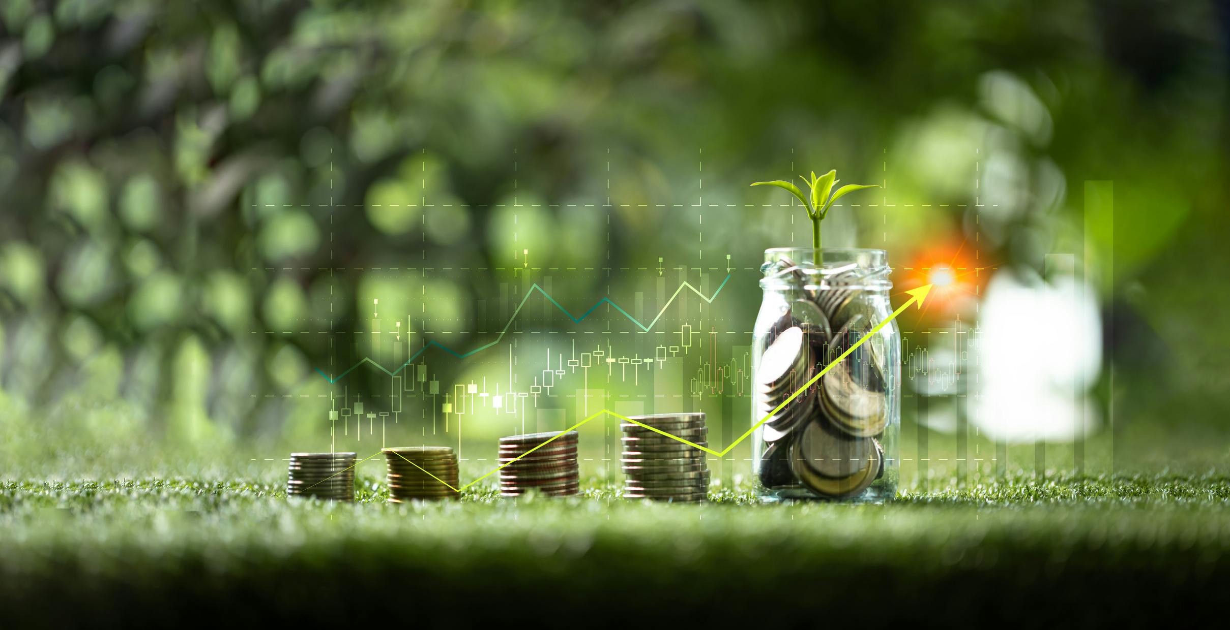 67a0efec69a1df32267f3daf Co2 Dreamstime