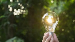 light bulb in front of trees light bulb in front of trees