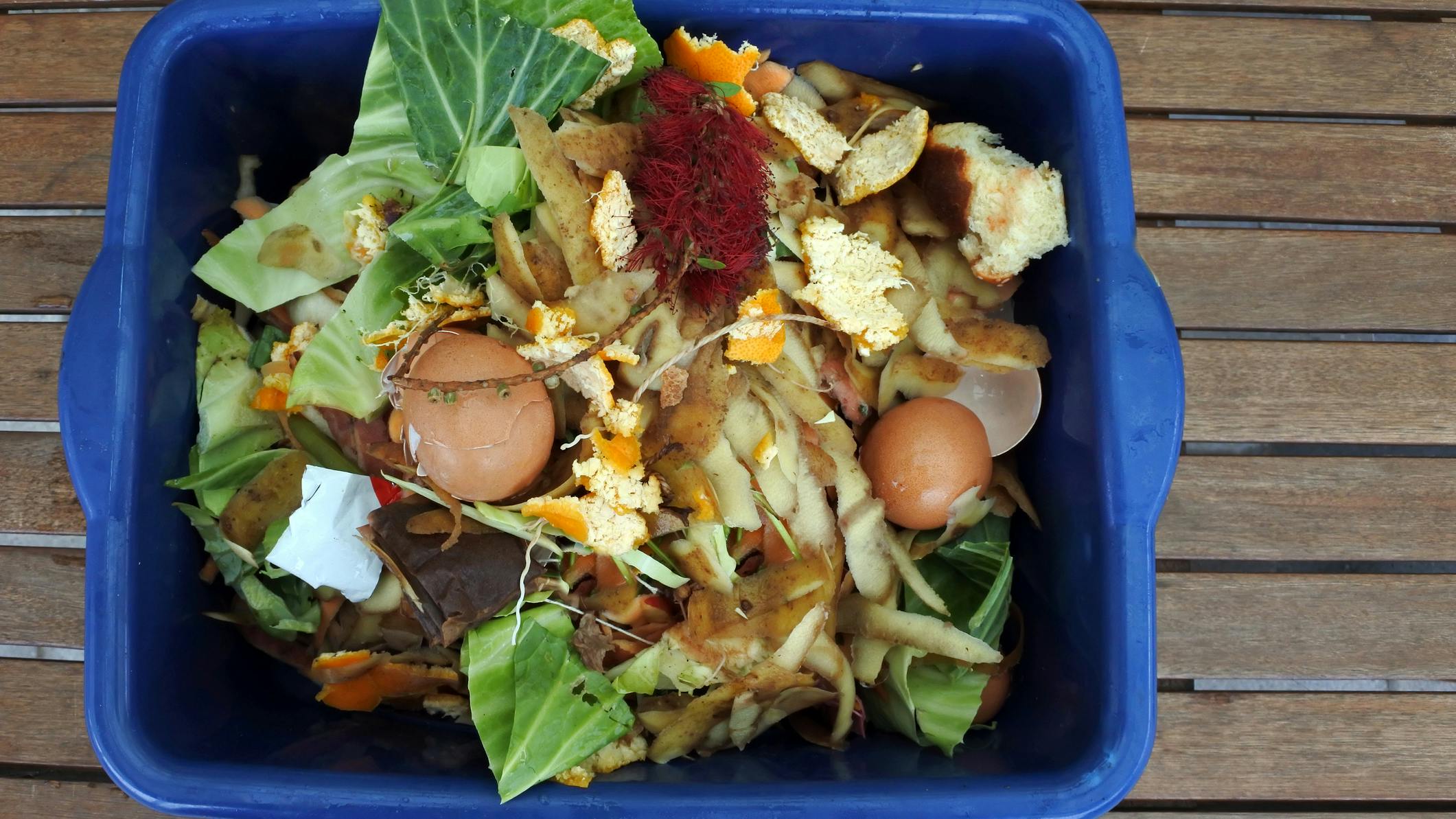 67f55395c3f642c2145842f8 Food Waste Dreamstime