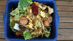 67f55395c3f642c2145842f8 Food Waste Dreamstime 67f55395c3f642c2145842f8 Food Waste Dreamstime