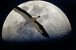 dreamstime_m_44416607 dreamstime_m_44416607