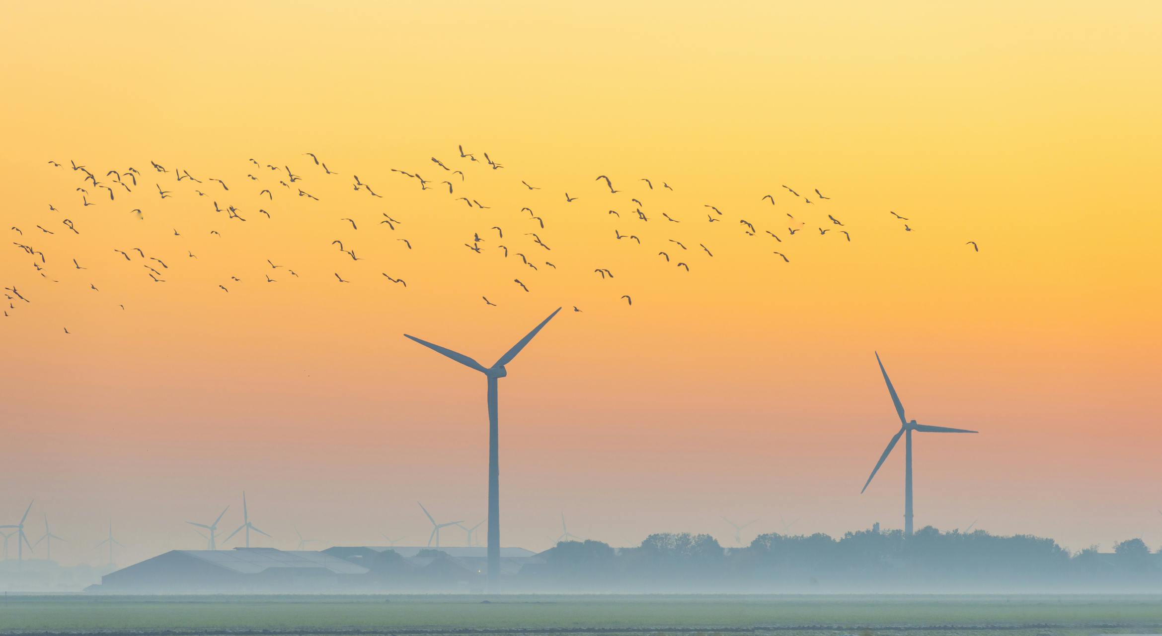 6862bc7b14c10b7b63370d0b Birds And Turbines Dreamstime