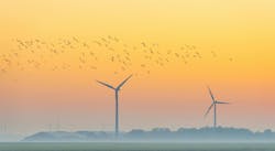 6862bc7b14c10b7b63370d0b Birds And Turbines Dreamstime 6862bc7b14c10b7b63370d0b Birds And Turbines Dreamstime