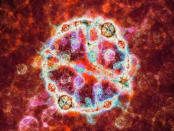 fusionfive fusionfive