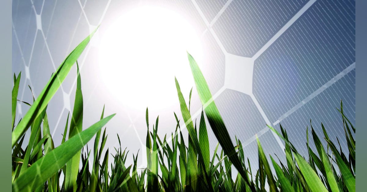 New York Agrivoltaics Project Combines Solar Energy and Farming on DiMartino Farm