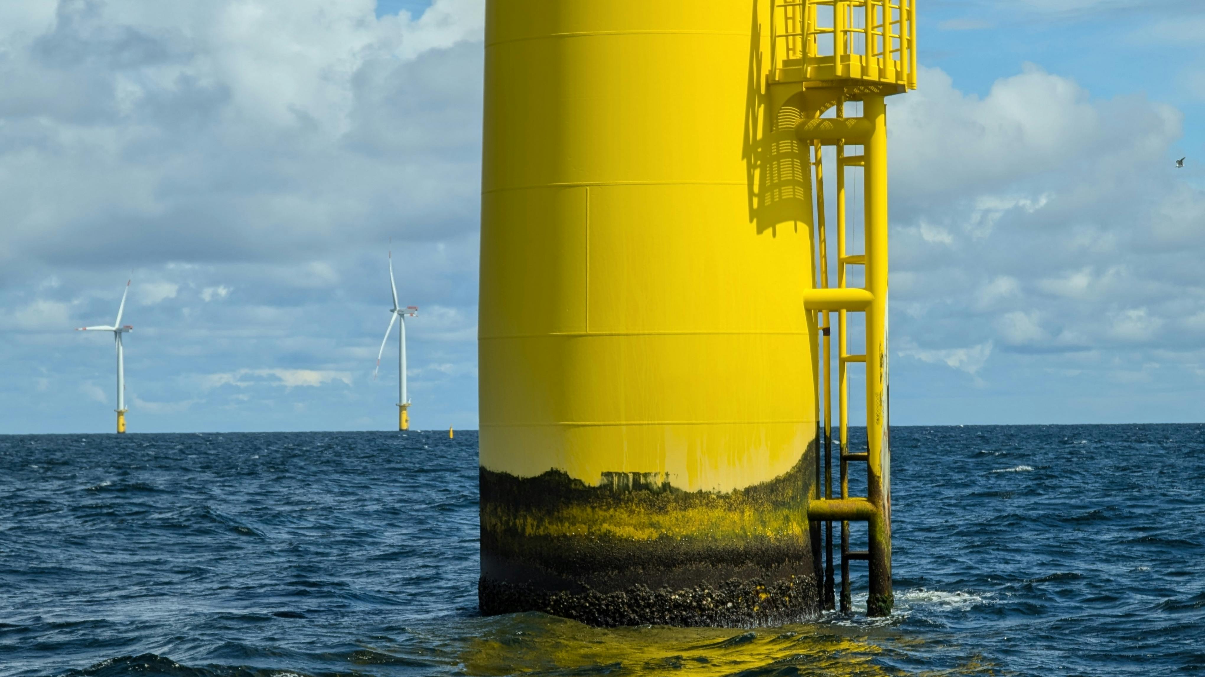 68b8b633d5cbaeab6fd0990a Offshore Wind Shutterstock