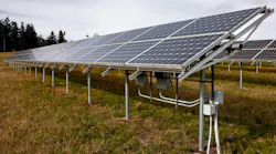 community solar in field