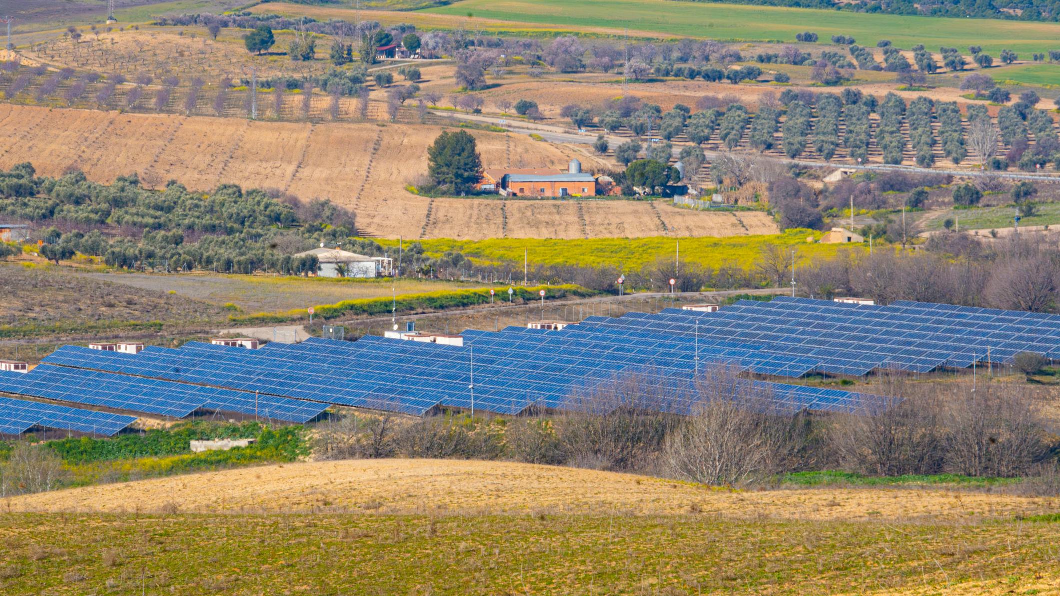 solar farm