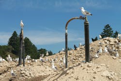 691791c4a0b6d6b53930e57d Landfill Gas Dreamstime 691791c4a0b6d6b53930e57d Landfill Gas Dreamstime