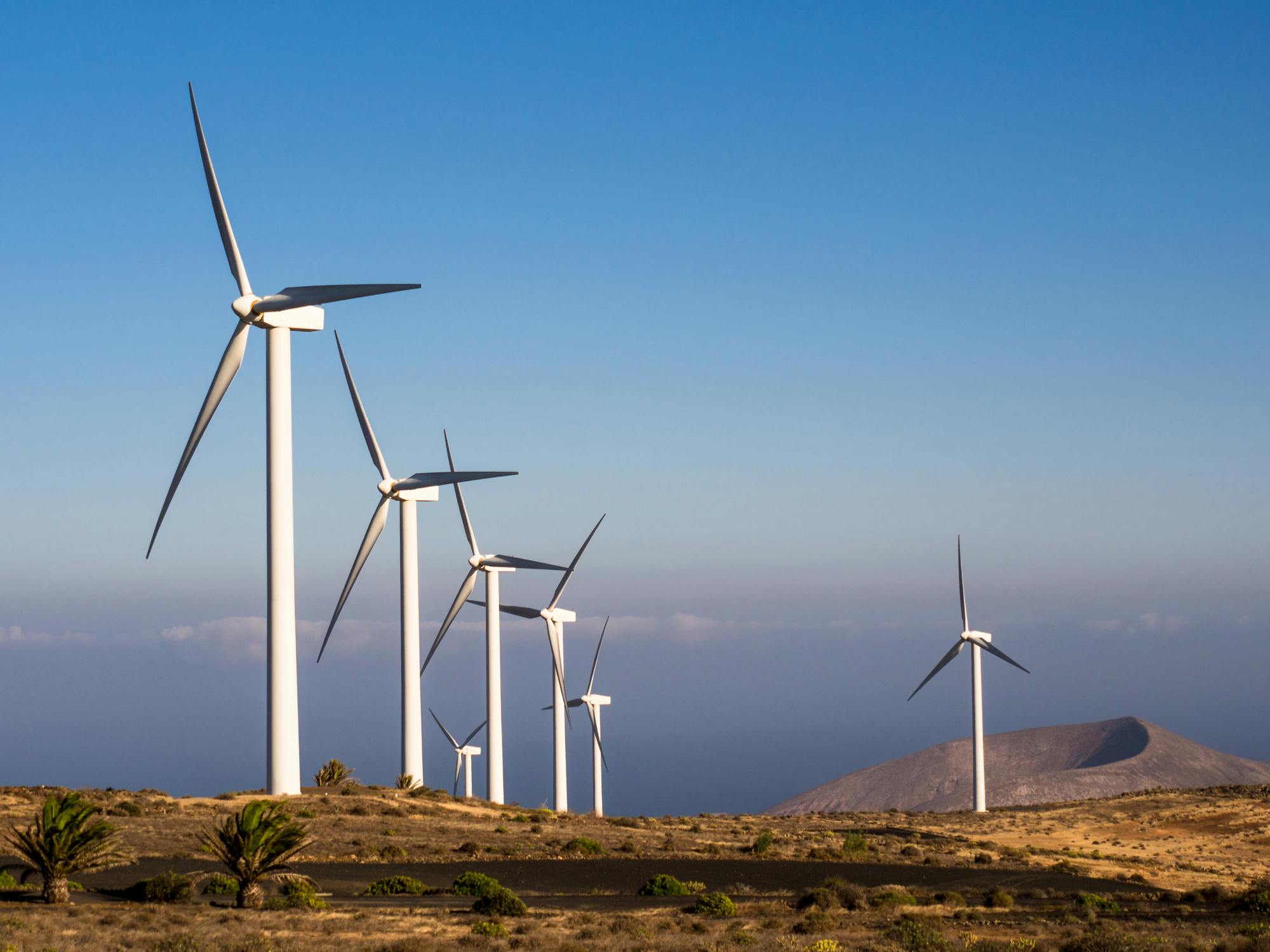 wind_energy_dreamstime