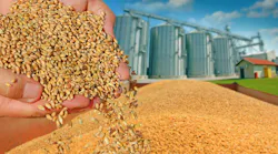 wheat_dreamstime wheat_dreamstime