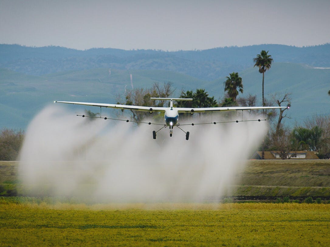 Pelican 2 image credit Pyka