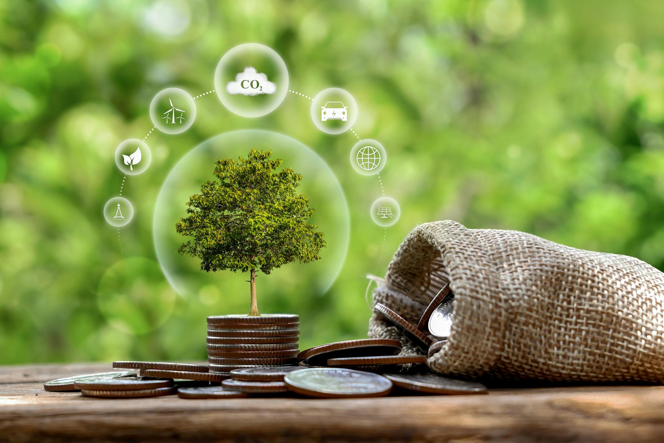 69e8ce1fff976c7c7b495edb Climate Investment Dreamstime