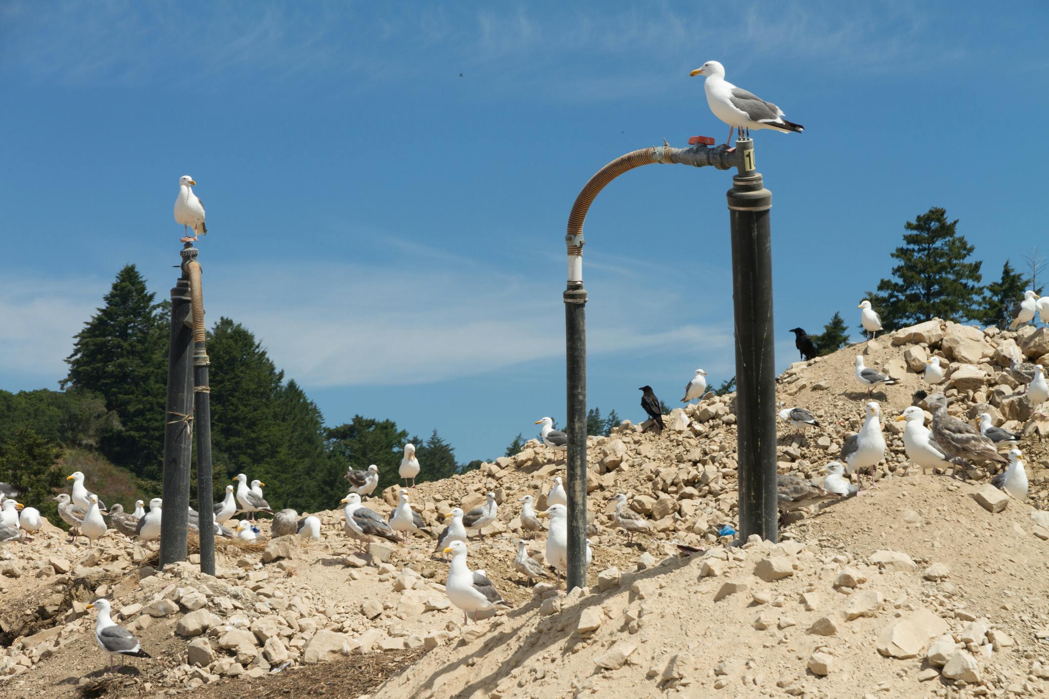 69fdec52489b6712d2dd8c0d Landfill Gas Dreamstime