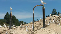 landfill_gas_dreamstime landfill_gas_dreamstime