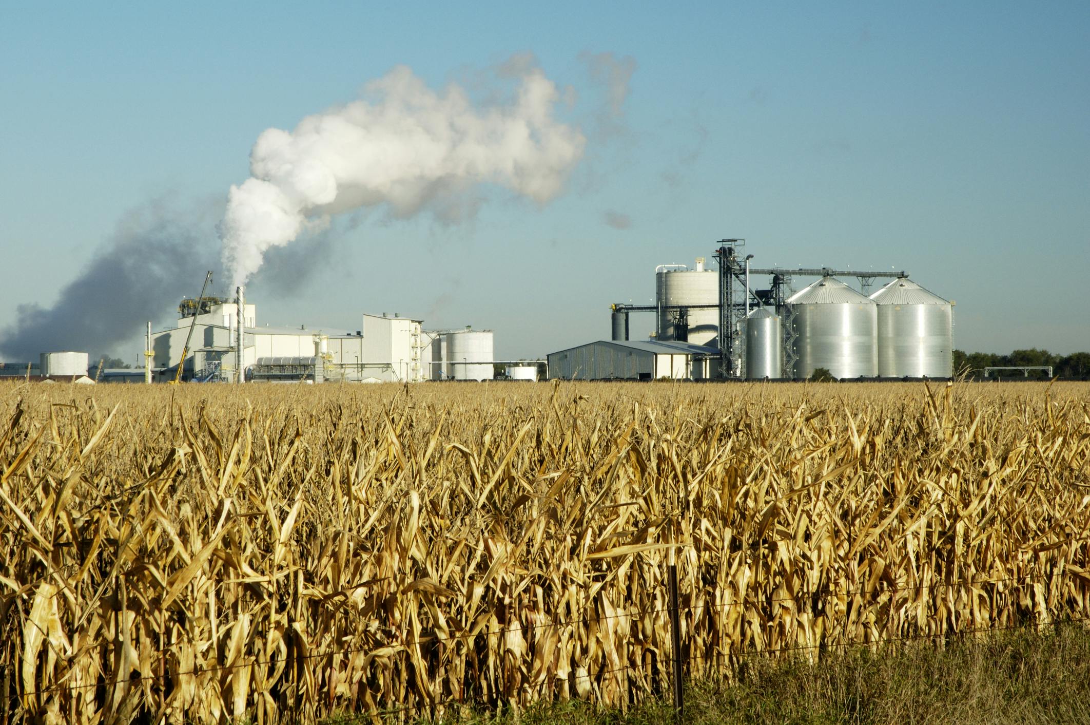 6aa026cd6dc466fd94eb737e Ethanol Dreamstime