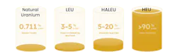 Diagram of different uranium enrichment tiers, highlighting HALEU as a critical fuel class for next-gen nuclear reactor deployment. Image credit NANO Nuclear